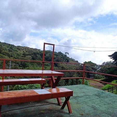 Monteverde Monkey Hostel المظهر الخارجي الصورة