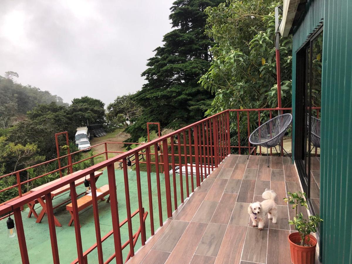 Monteverde Monkey Hostel المظهر الخارجي الصورة