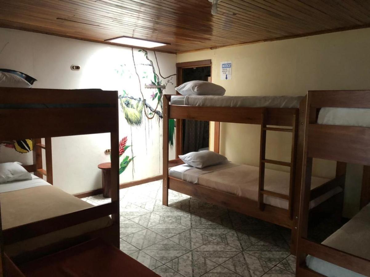 Monteverde Monkey Hostel المظهر الخارجي الصورة