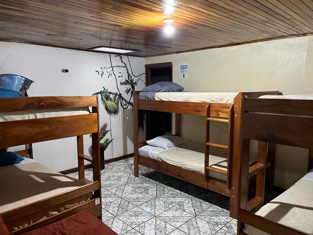 Monteverde Monkey Hostel المظهر الخارجي الصورة