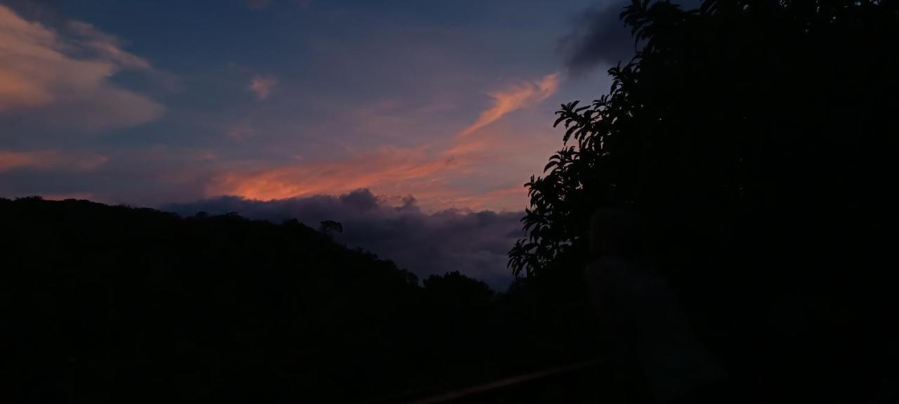 Monteverde Monkey Hostel المظهر الخارجي الصورة